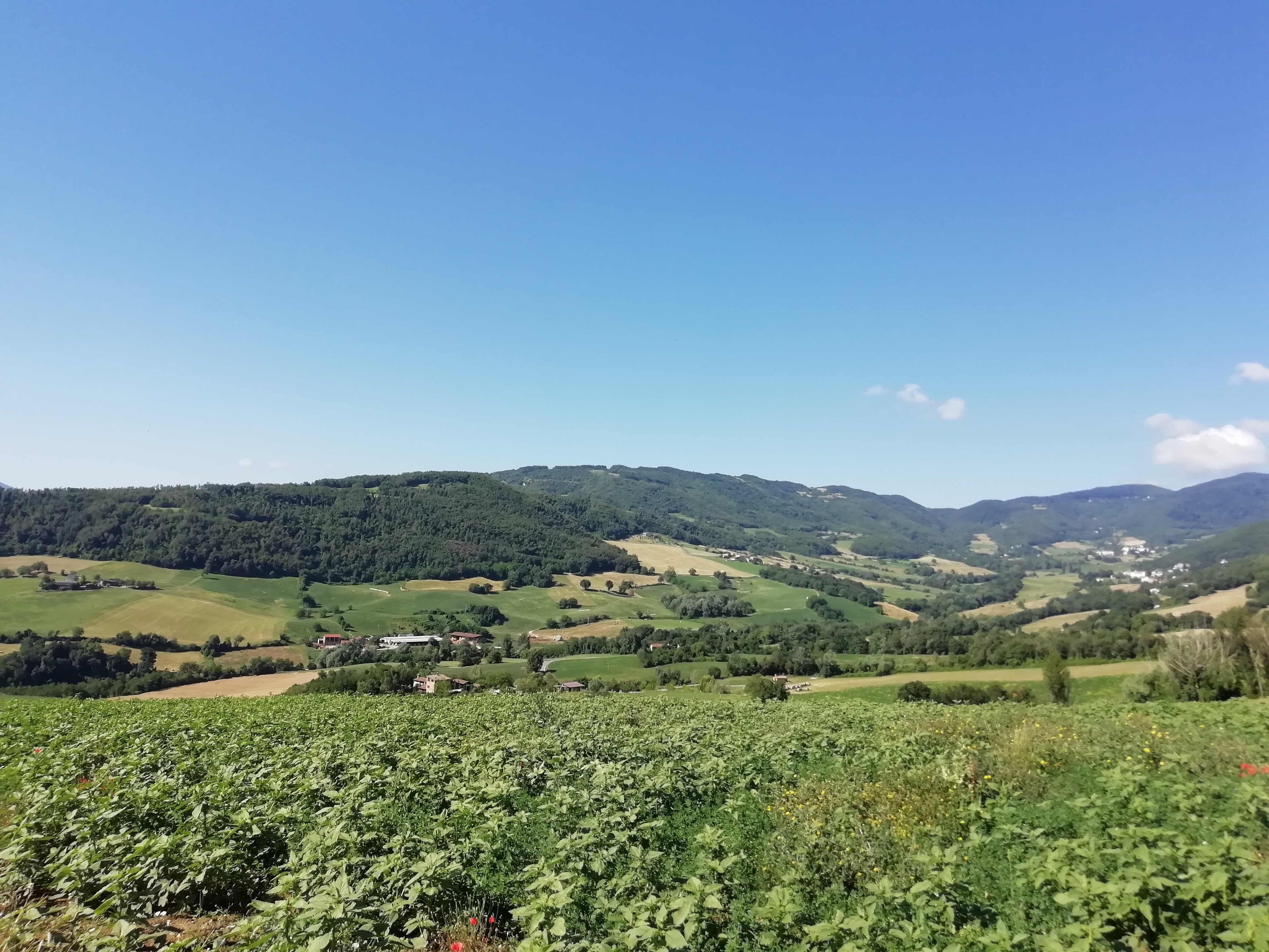 Agriturismo Podere Doglio-官方