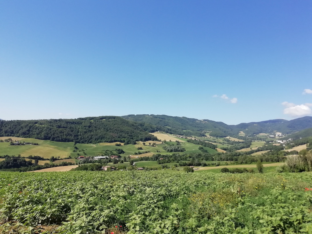 Agriturismo Podere Doglio主图