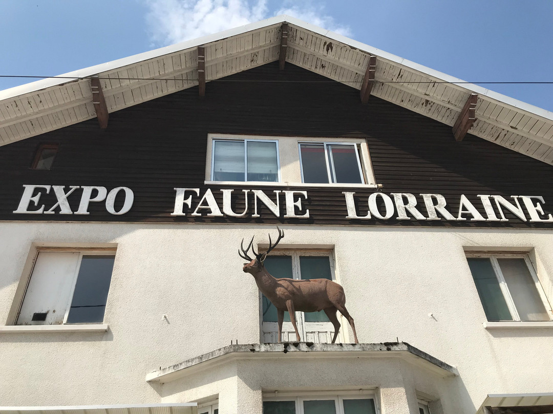 Musée faune lorraine景点图片