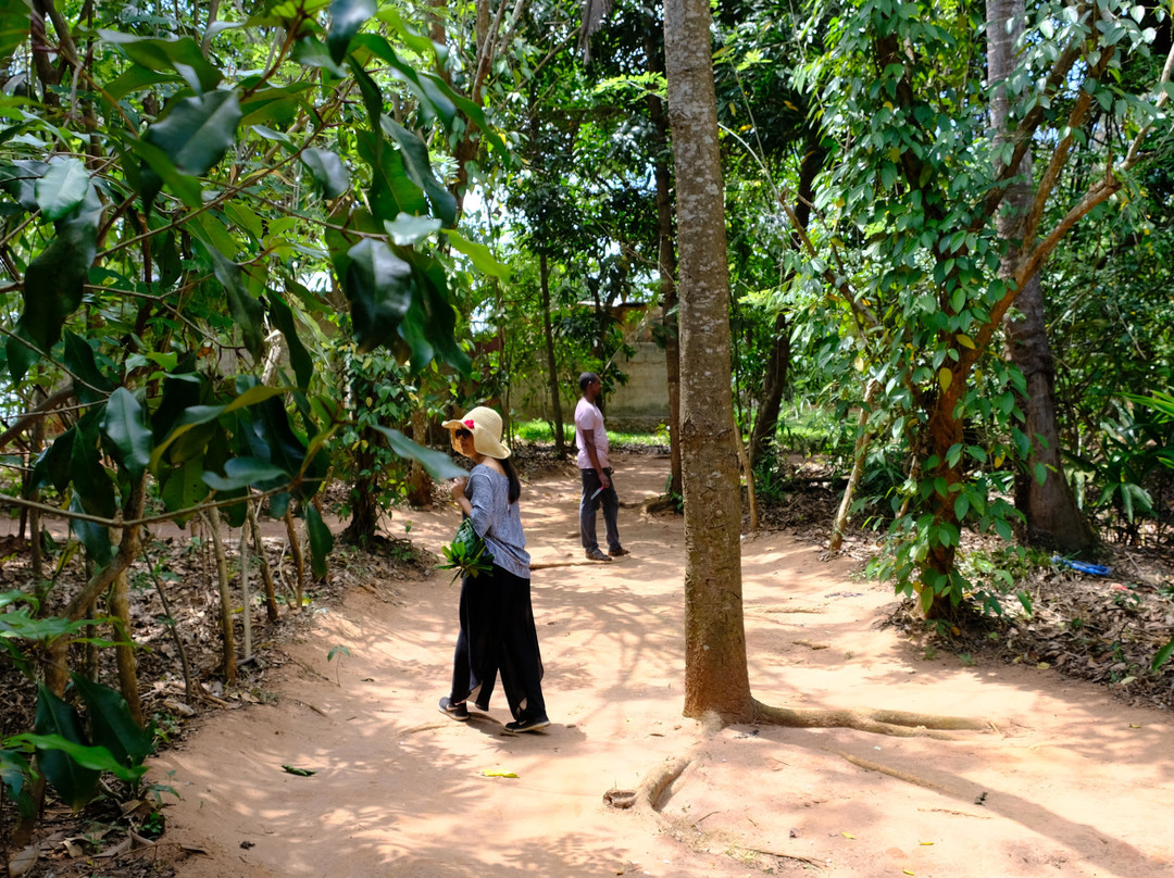 Zanzibar Different Tours - Day Tours景点图片