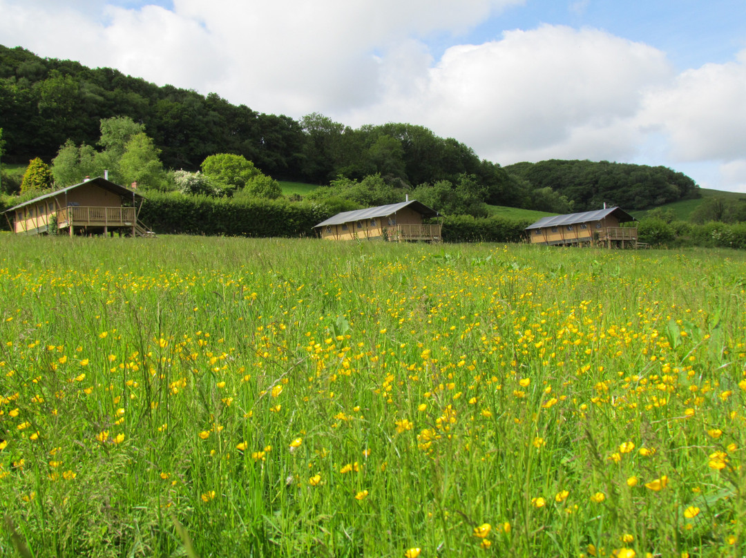 Western Meadows Glamping