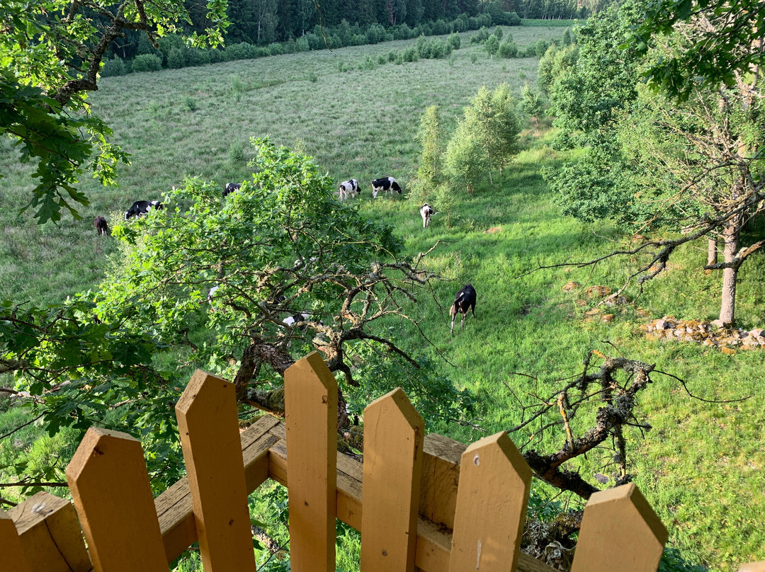 Islanna Treehotel