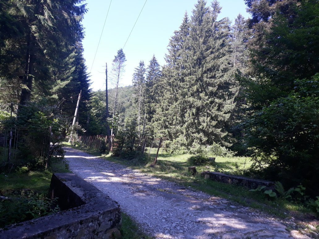 Semenic-Cheile Carașului National Park景点图片