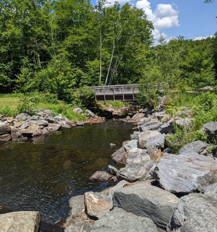Leffert's Pond-基灵顿必去景点