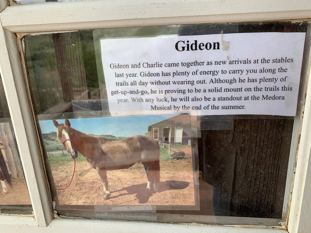 Medora Riding Stables-Medora必去景点