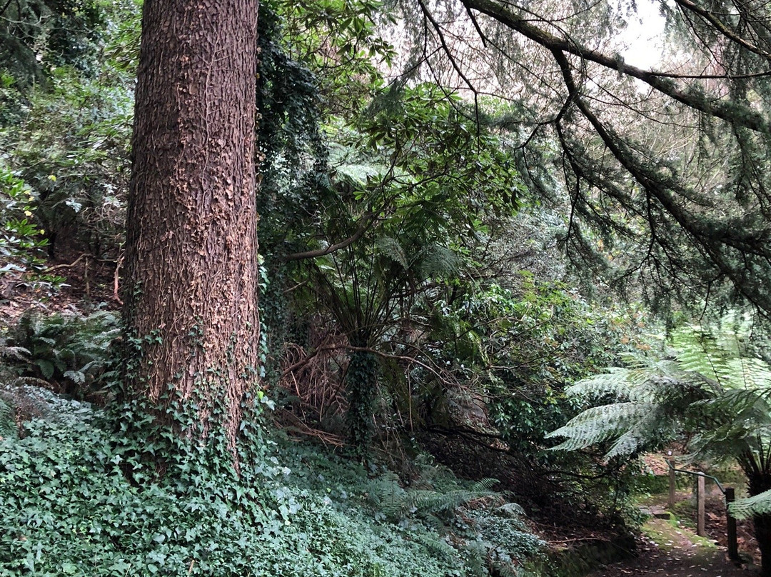 Pirianda Garden-奥林达必去景点