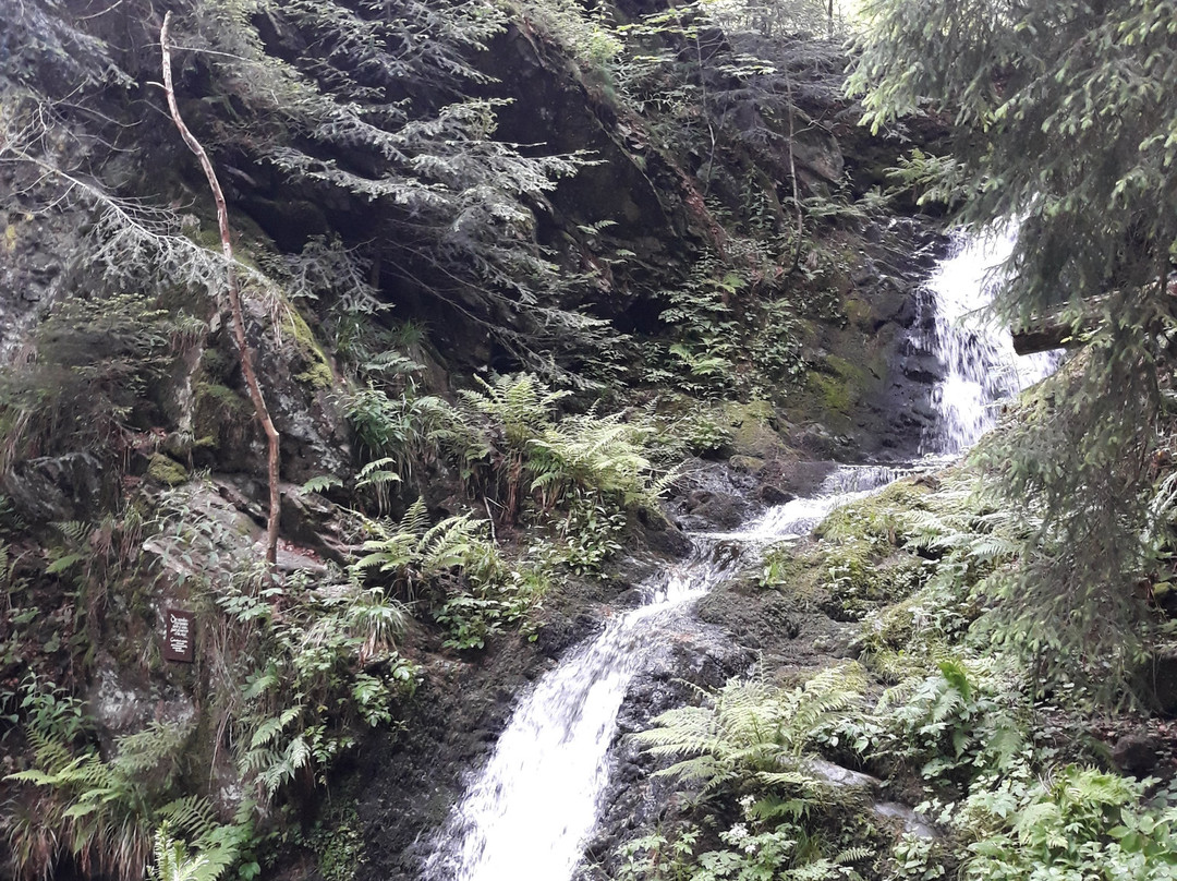 Todtmoos Waterfall-Todtmoos必去景点
