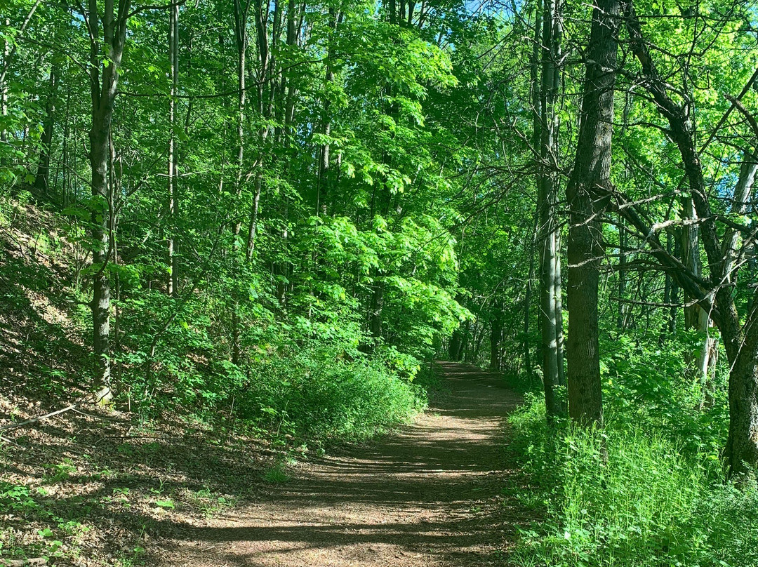 Walnut Mountain Park景点图片