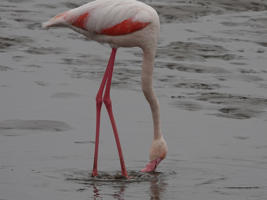 Long Beach Leisure Park-华维斯湾必去景点