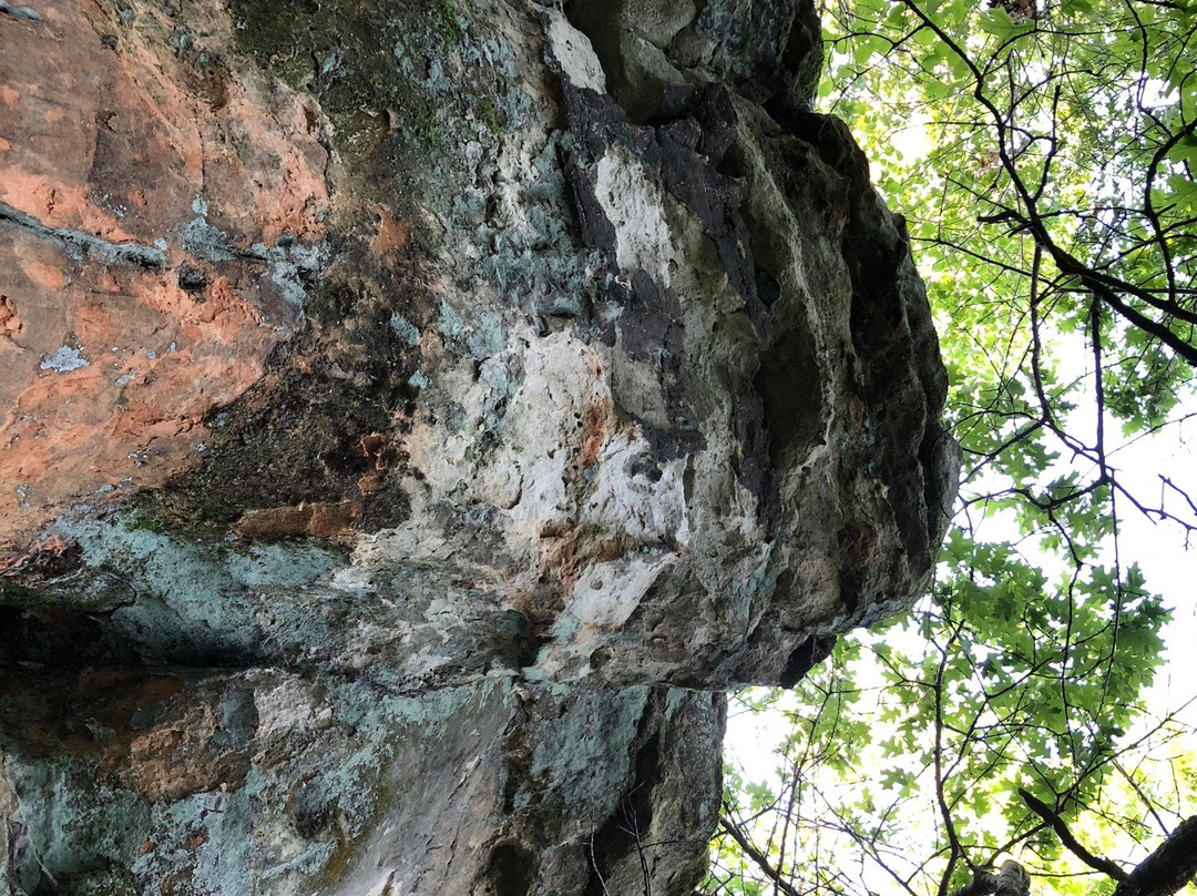 Chimney Rock Scientific and Natural Area景点图片