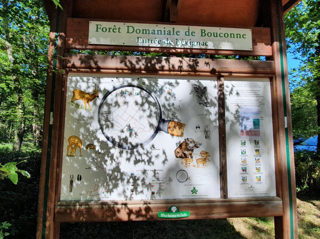 Forêt de Bouconne-Levignac必去景点