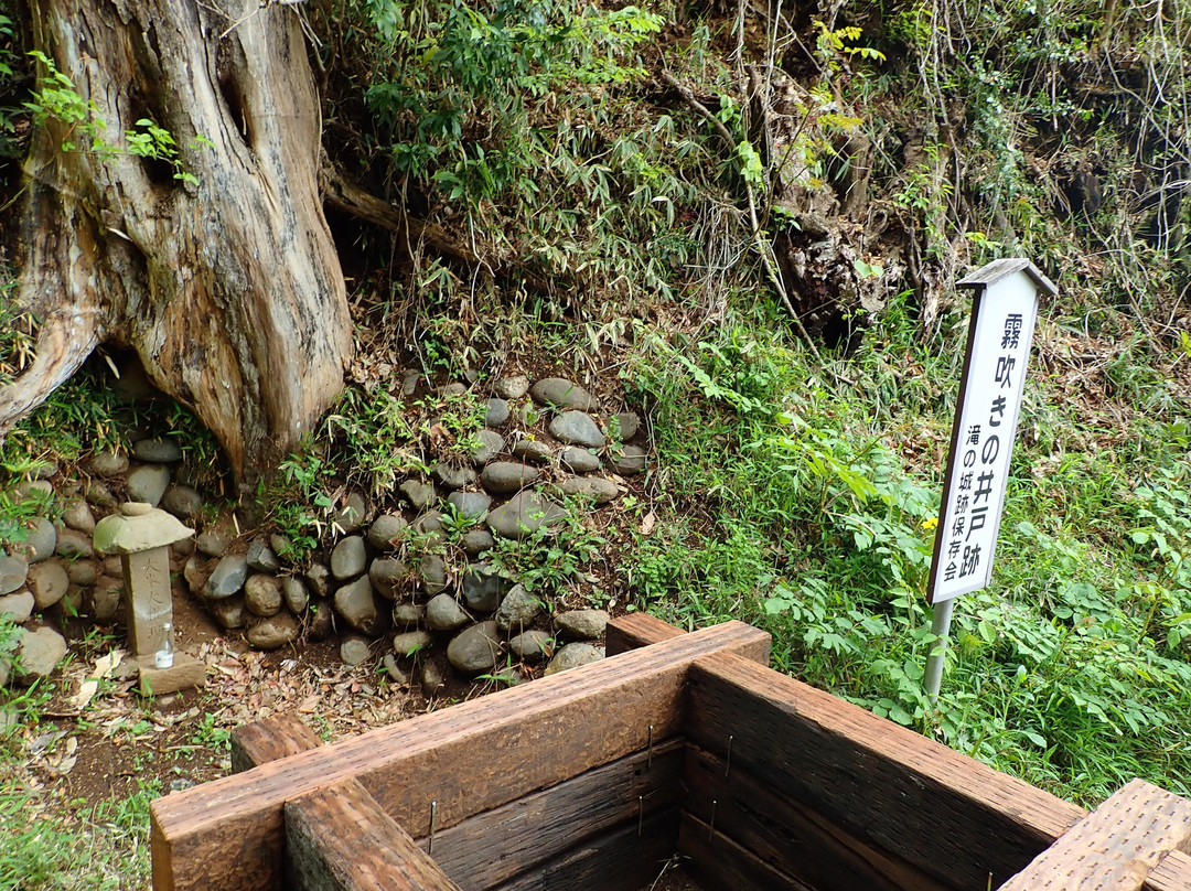 Takino Castle Ruins-所泽市必去景点