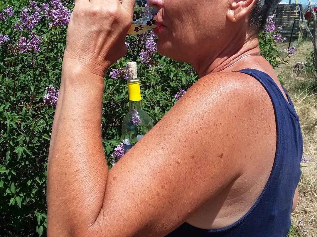 Yellow Car Country Wines-科尔特斯必去景点