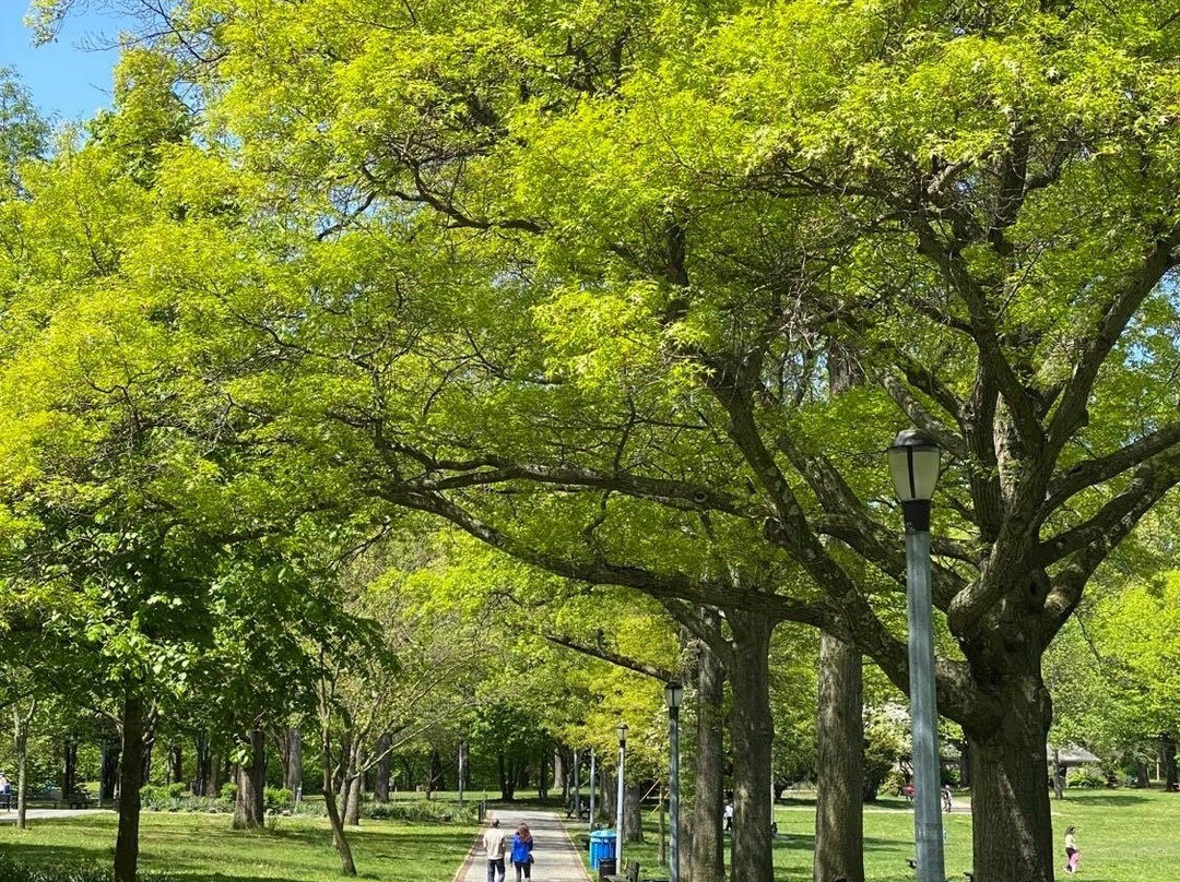 Alley Pond Park-Oakland Gardens必去景点