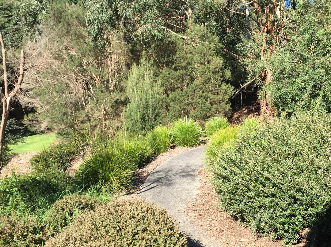 Pioneer Reserve-Kongwak必去景点