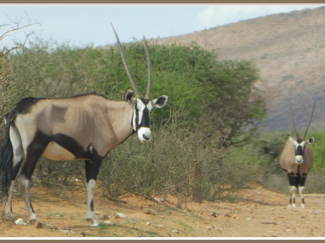 Witsand Nature Reserve-Witsand必去景点