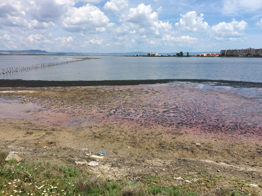 Pomorie Lake景点图片