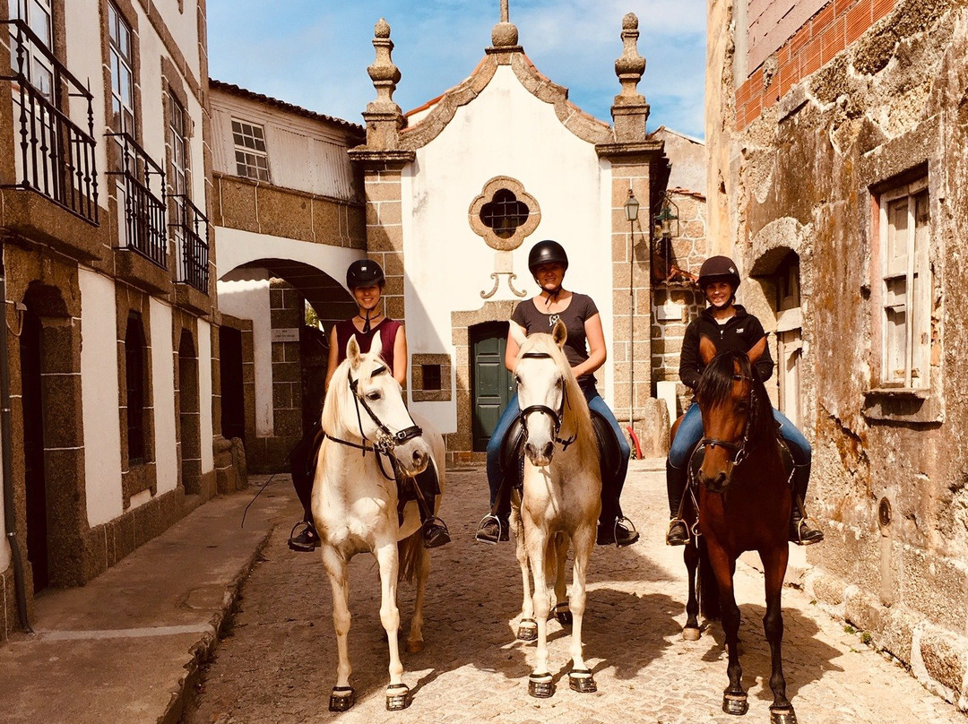 Quinta Lusitânia Riding School景点图片