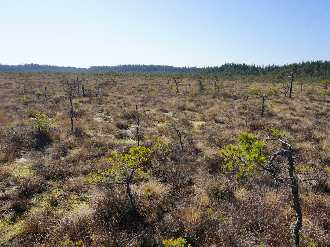 Store Mosse Nationalpark-Hillerstorp必去景点