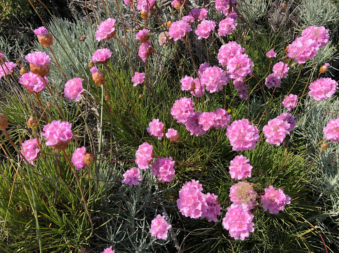 Ria de Alvor Nature Reserve景点图片