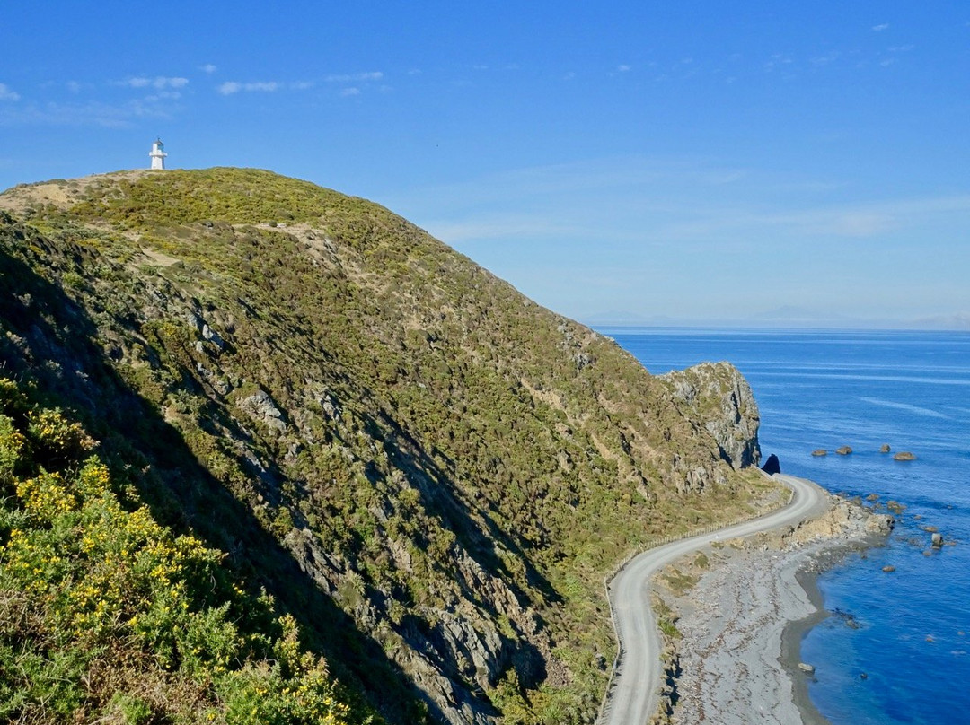 Pencarrow Lighthouse景点图片