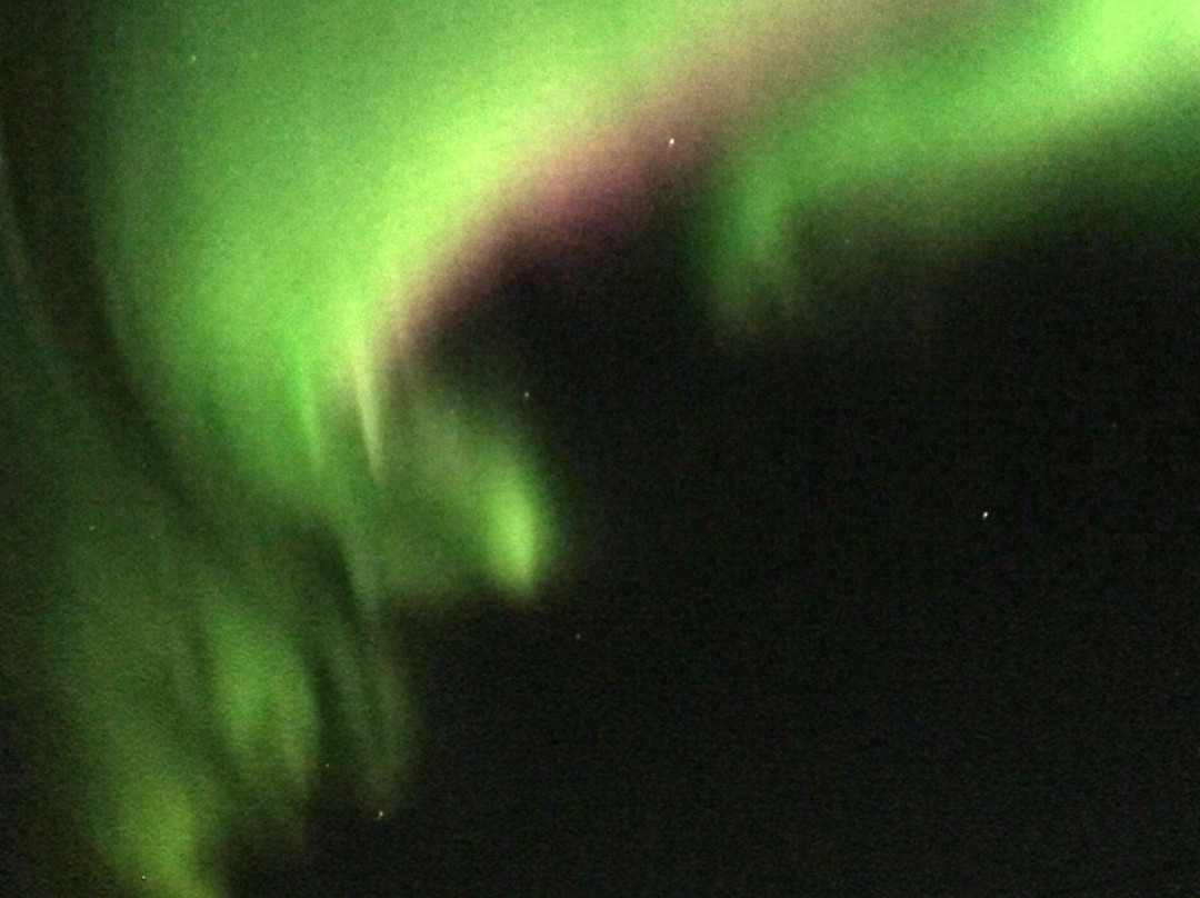 Moose Cab & Tours-费尔班克斯必去景点