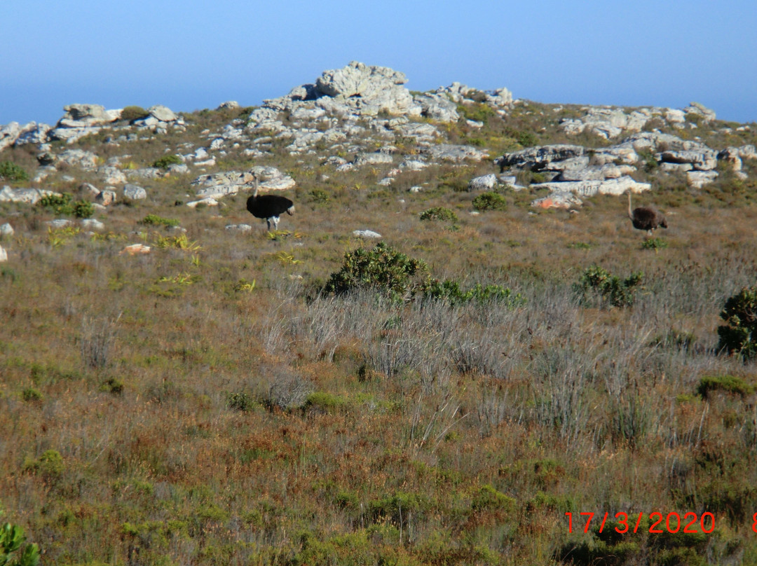 Cape Fun Tours-西门镇必去景点