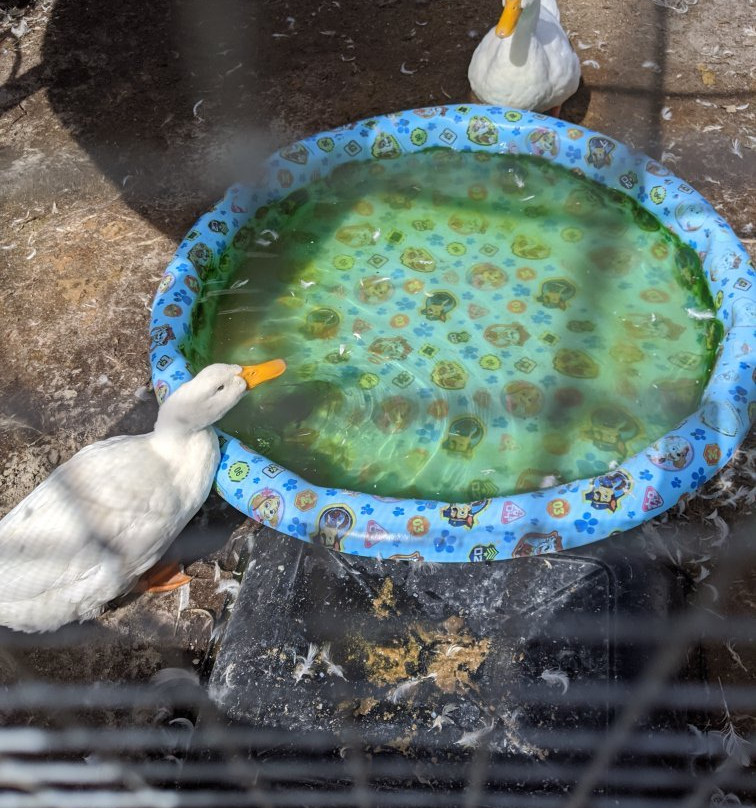 Henscratch Farms Vineyard & Winery-Lake Placid必去景点