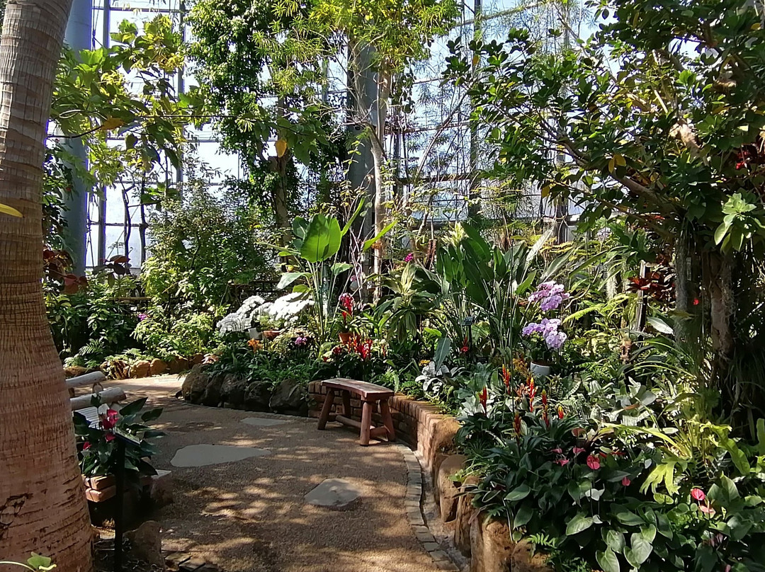 Botanica Museum-千叶市必去景点