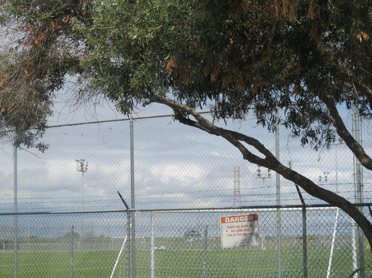 Twin Creeks Sports Complex-森尼韦尔必去景点