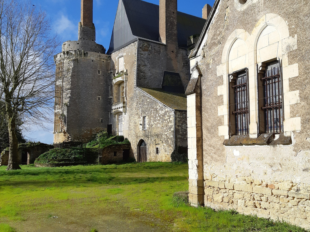 Chateau de Martigne Briand景点图片