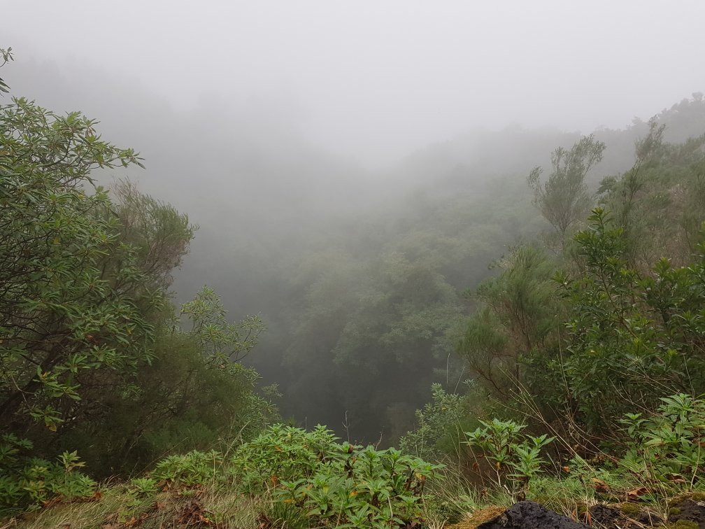 Levada Do Caldeirao Verde景点图片