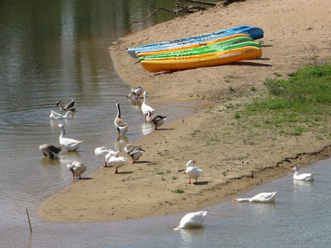 Fisherman's Park-巴斯特罗普必去景点