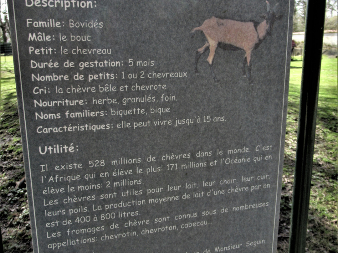 Parc Forestier de la Poudrerie景点图片