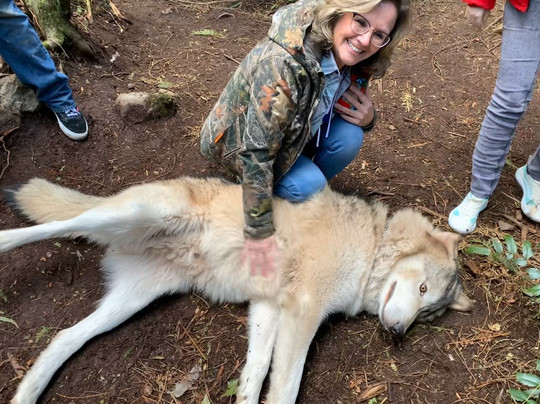 Predators of the Heart-Anacortes必去景点