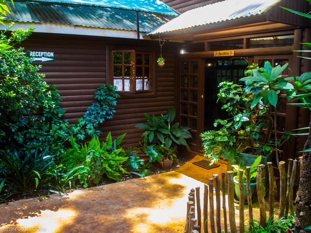 Woodland Gardens主图