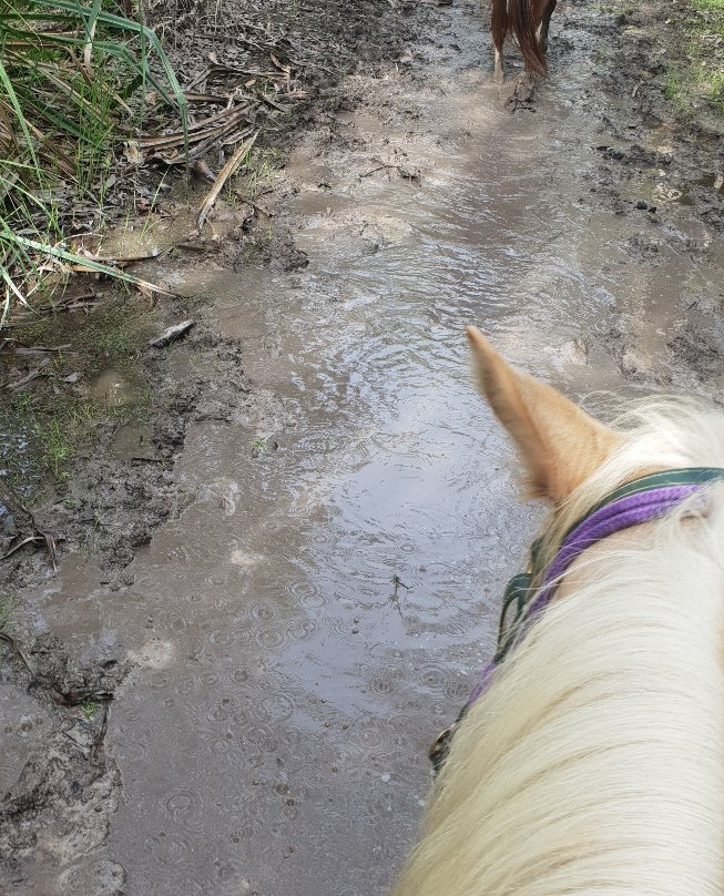Horseshoe Bay Ranch-Horseshoe Bay必去景点