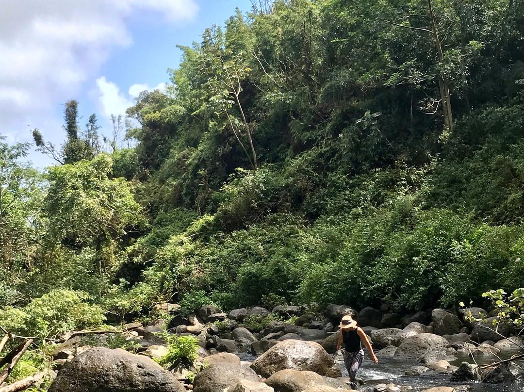 Makaleha Falls Trail-卡帕阿必去景点