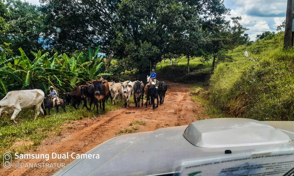 Canastratur-Capitolio必去景点