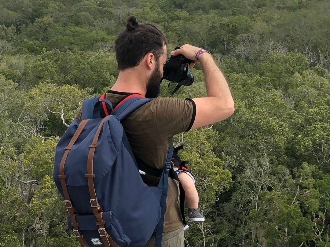 Reserva de la Biosfera de Calakmul-卡拉克穆尔必去景点