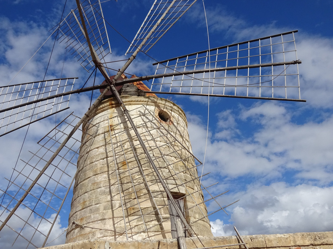 Riserva Naturale Saline Di Trapani E Paceco-特拉帕尼省必去景点