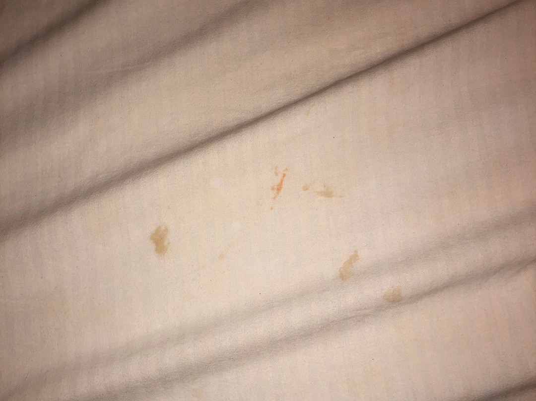 South Beach Hotel主图