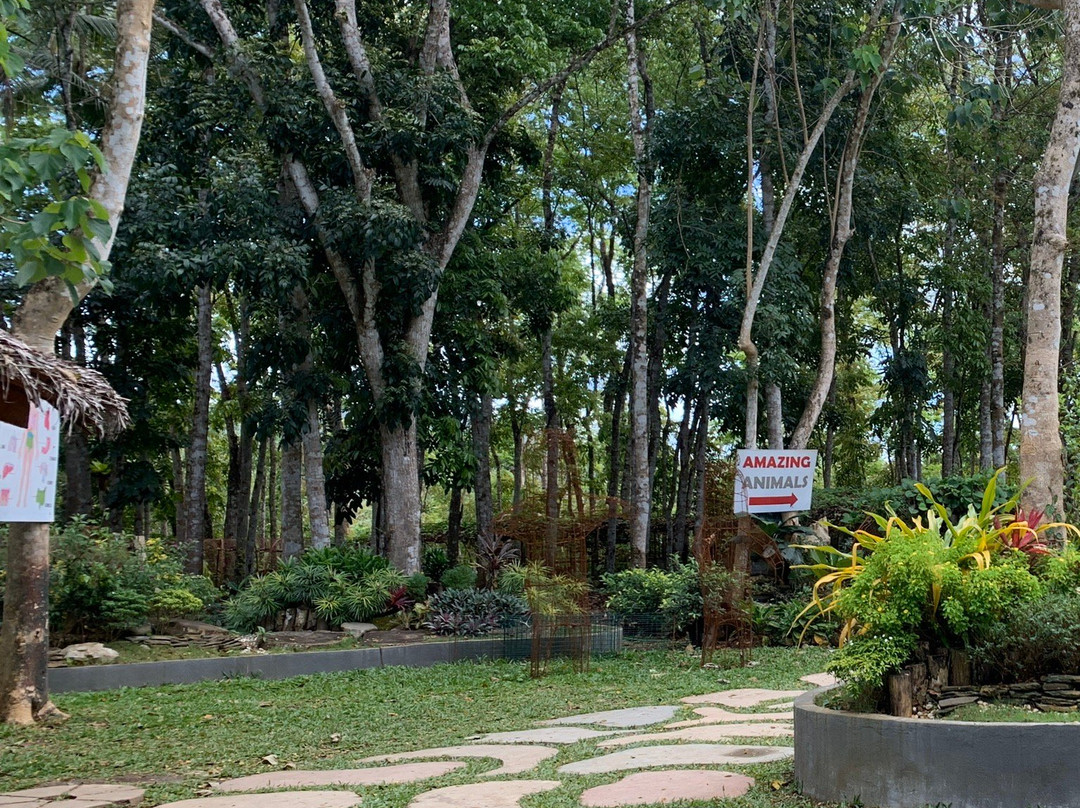 Bohol Enchanted Zoological and Botanical Garden景点图片