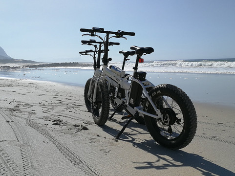 E-lectric Ventures-开普敦必去景点