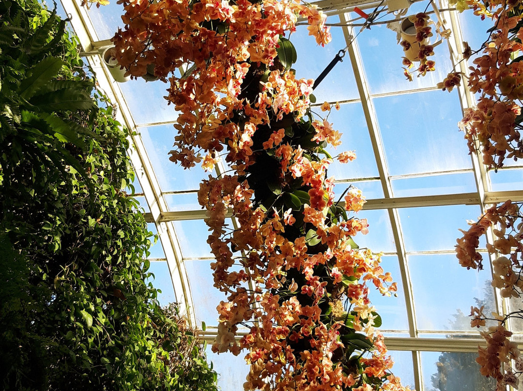 纽约植物园-布朗克斯必去景点