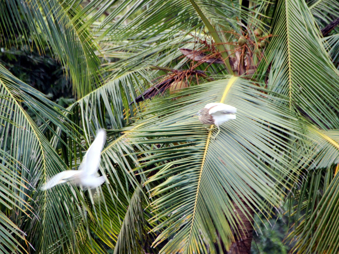 Miridiya Lake Resort主图