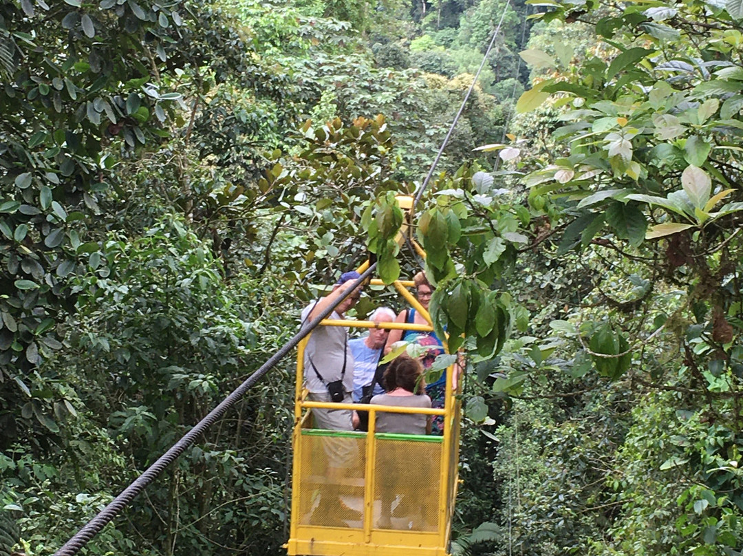 Mindo Nambillo Cloud Forest Reserve景点图片