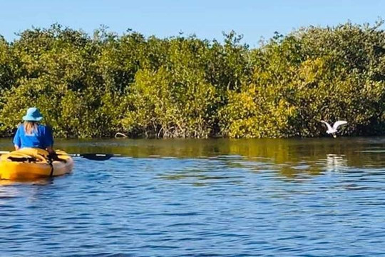 Daytona Beach Kayaking-新士麦那海滩必去景点