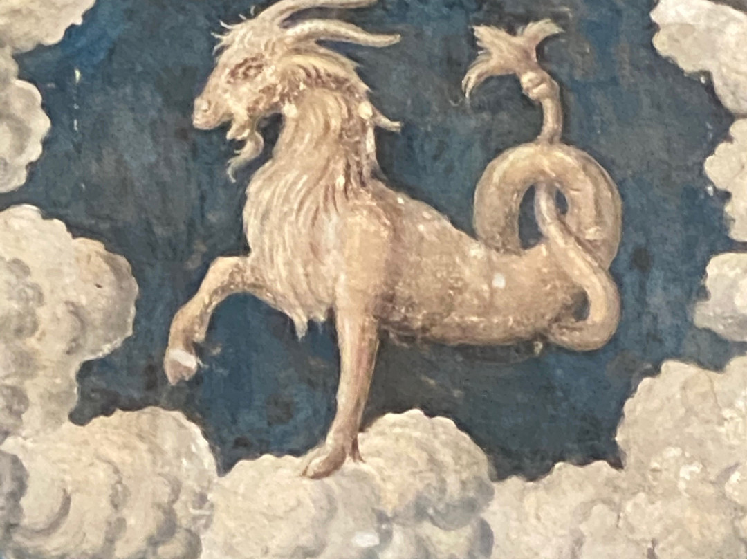 Museo di Palazzo d'Arco景点图片