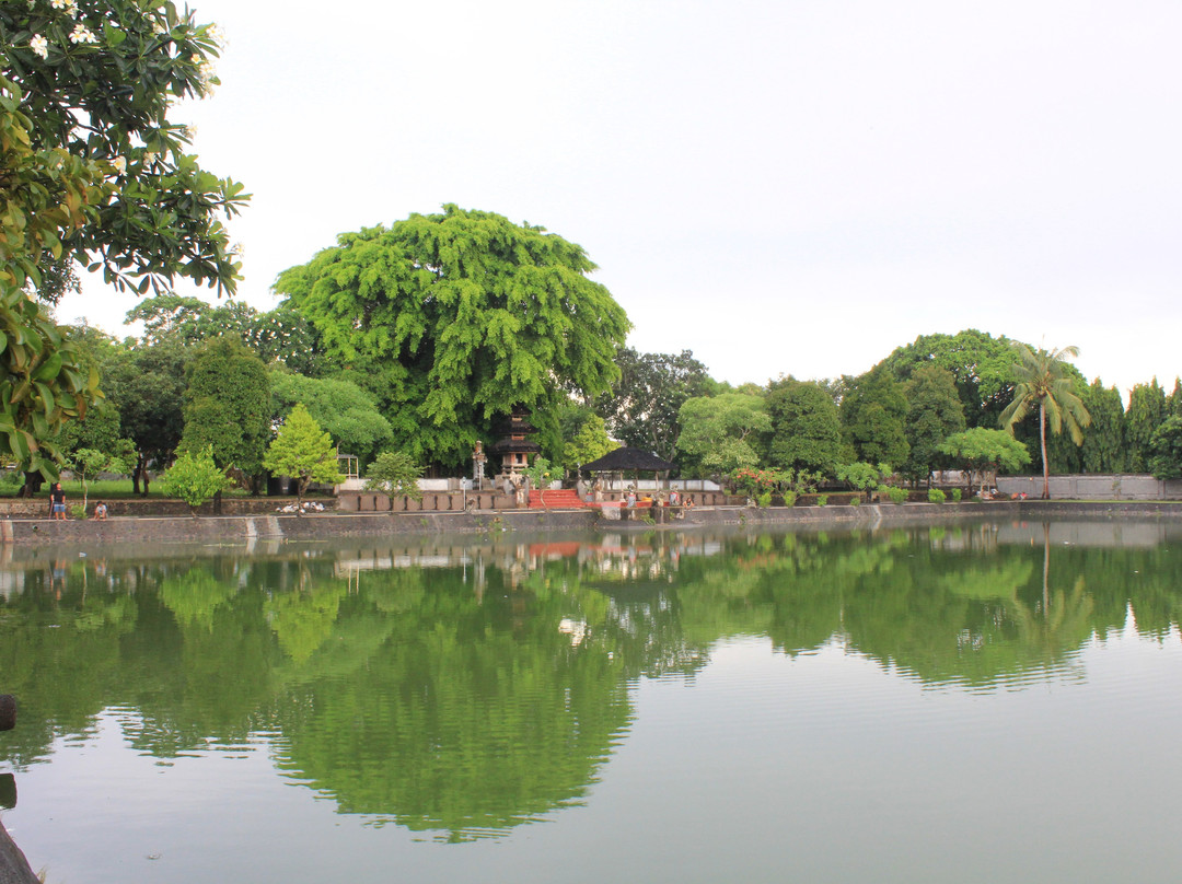 Mayura Water Palace景点图片